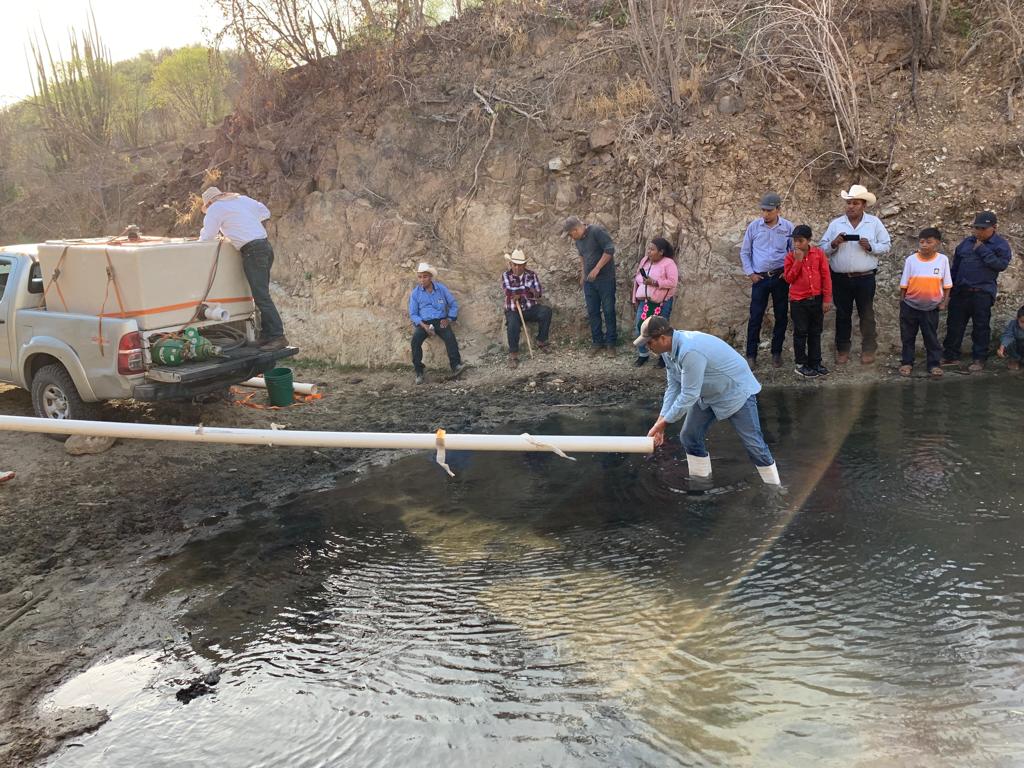 Aumenta IAES 200 por ciento la producción de tilapia en 2023